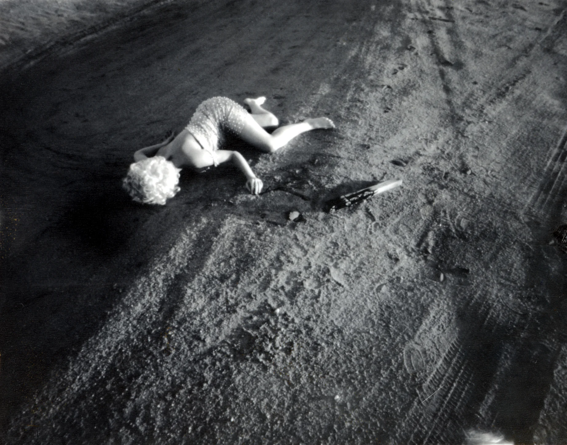 Crime Scene: Desert Rose by Virginia Conesa-O’Gara