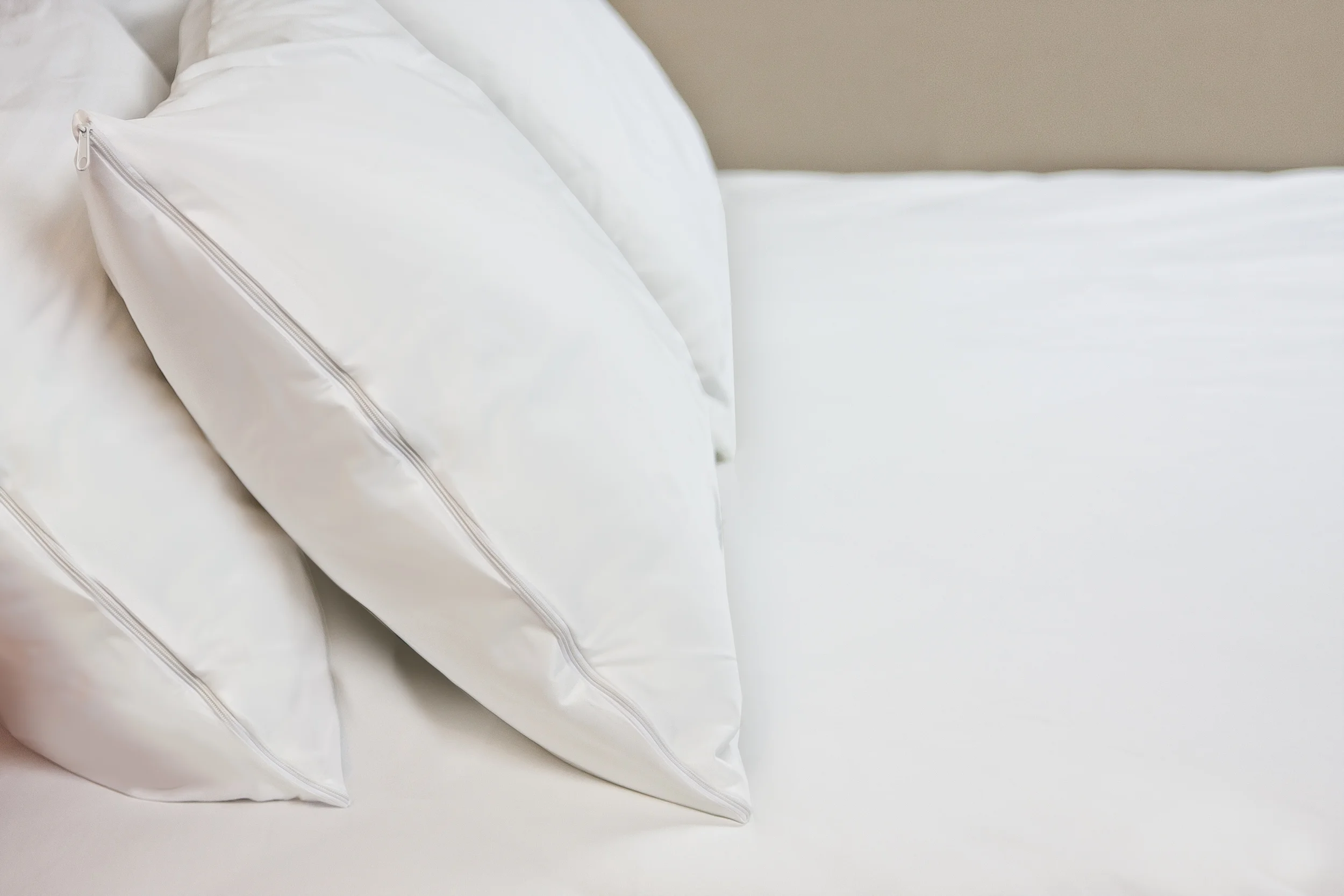 Pillow 1.jpg
