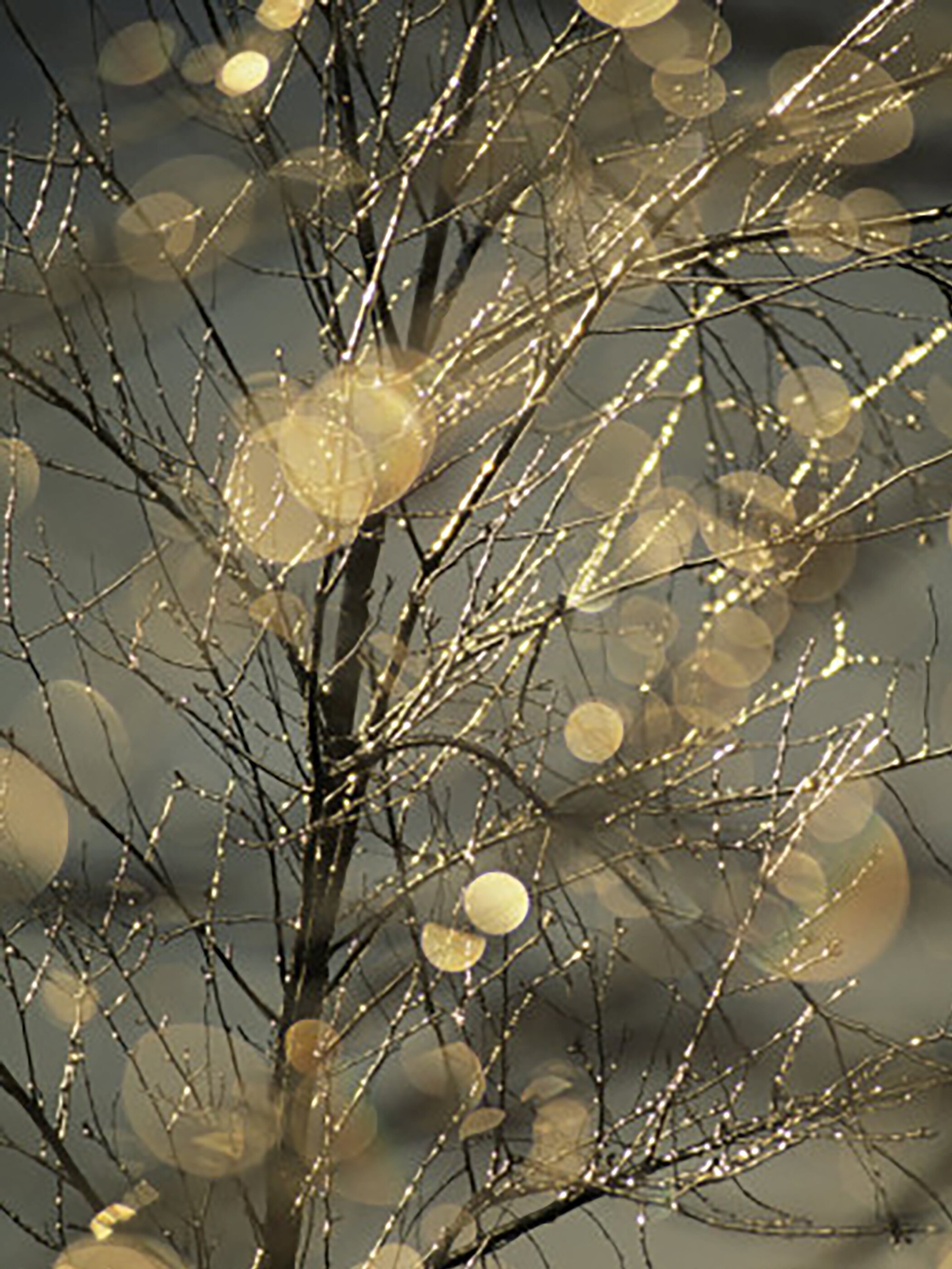 By photographer Raymond Gehman.