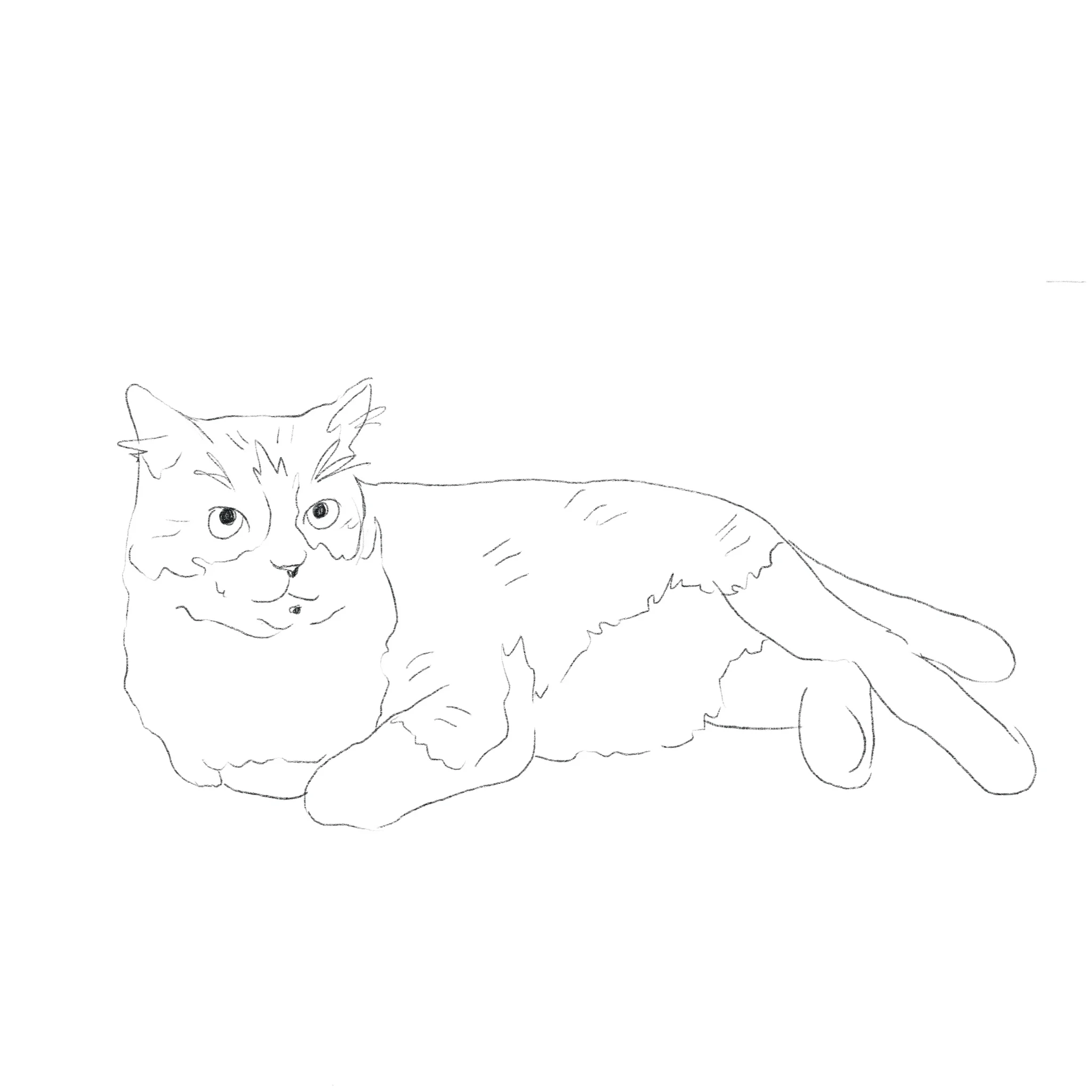 Untitled_Artwork 3.jpg