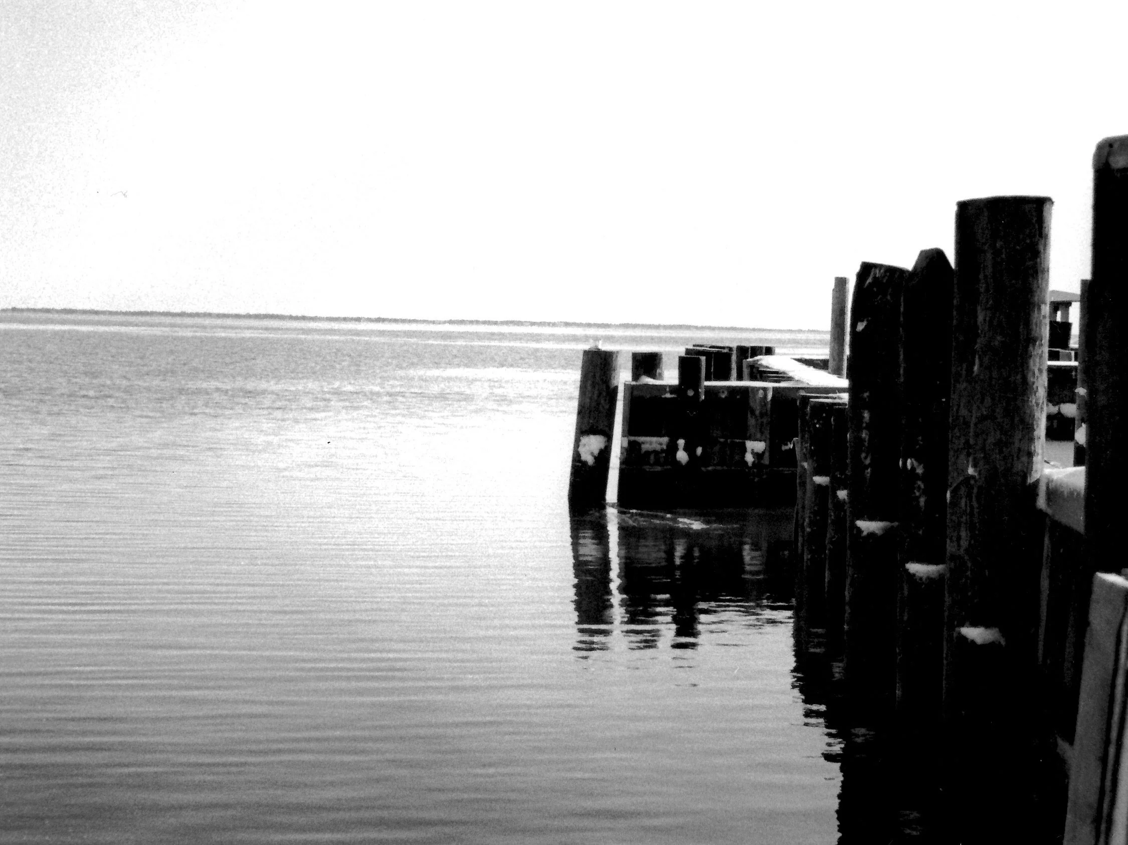 dock.jpg