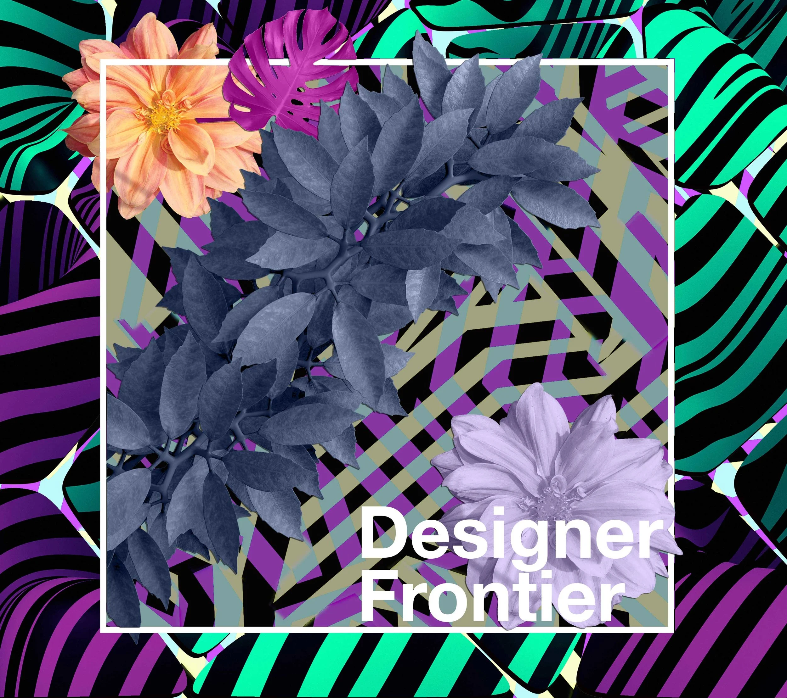 DESIGNFRONT.jpg