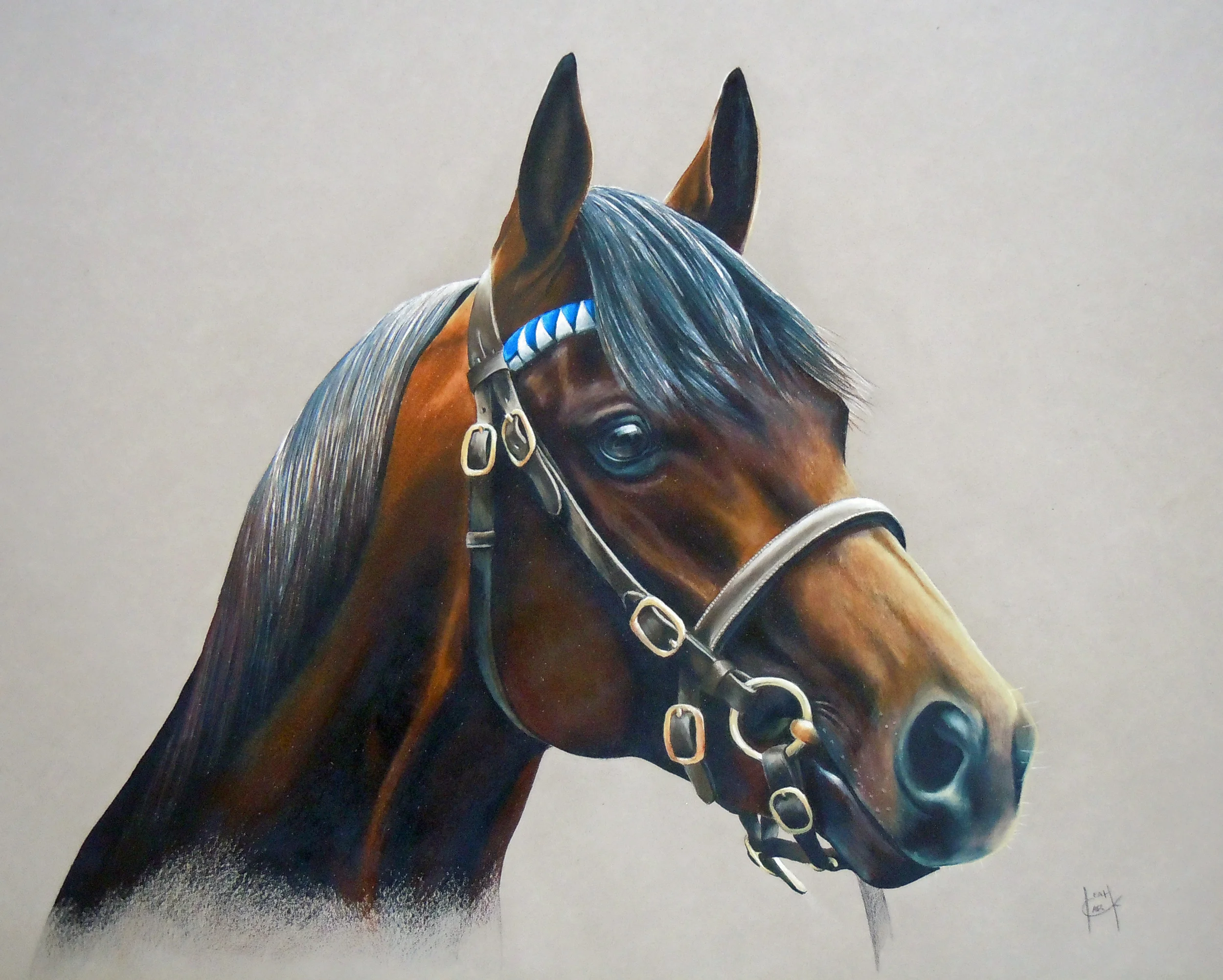 Epaulette