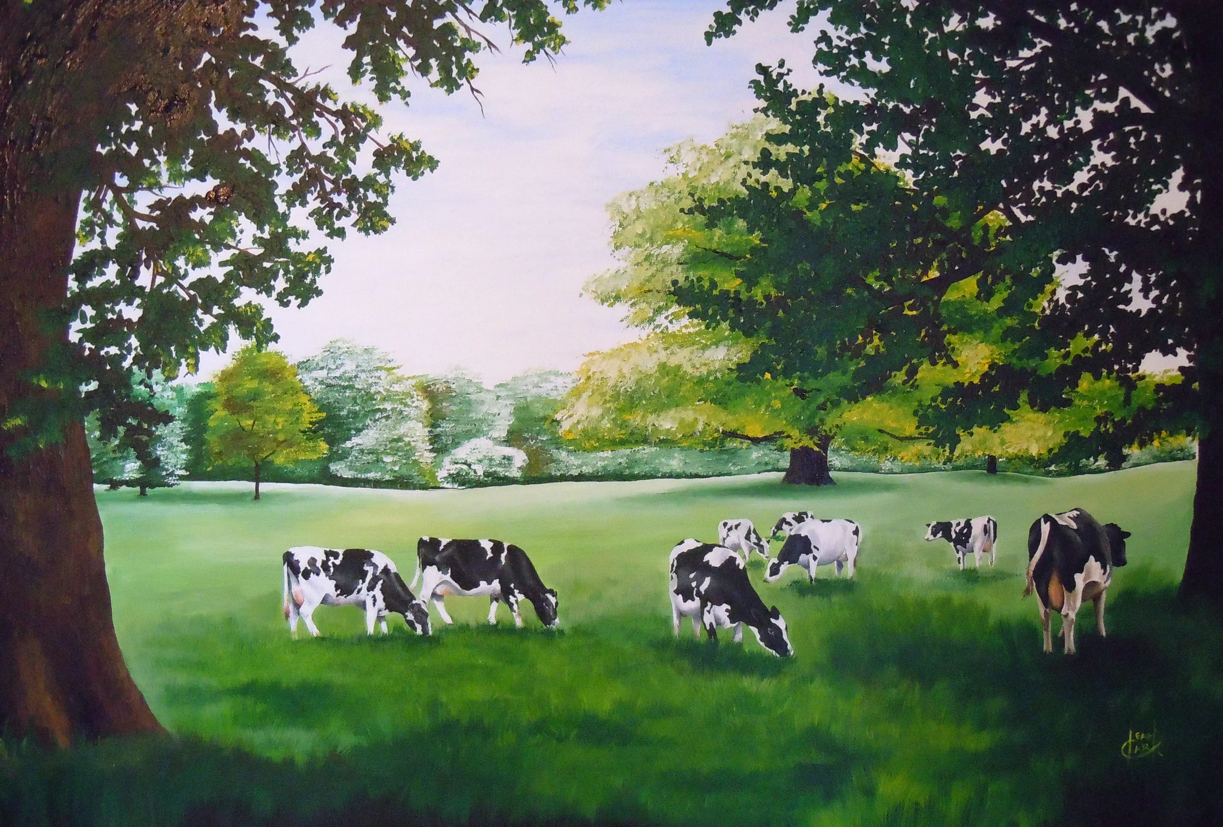 Irish Dairy Cows