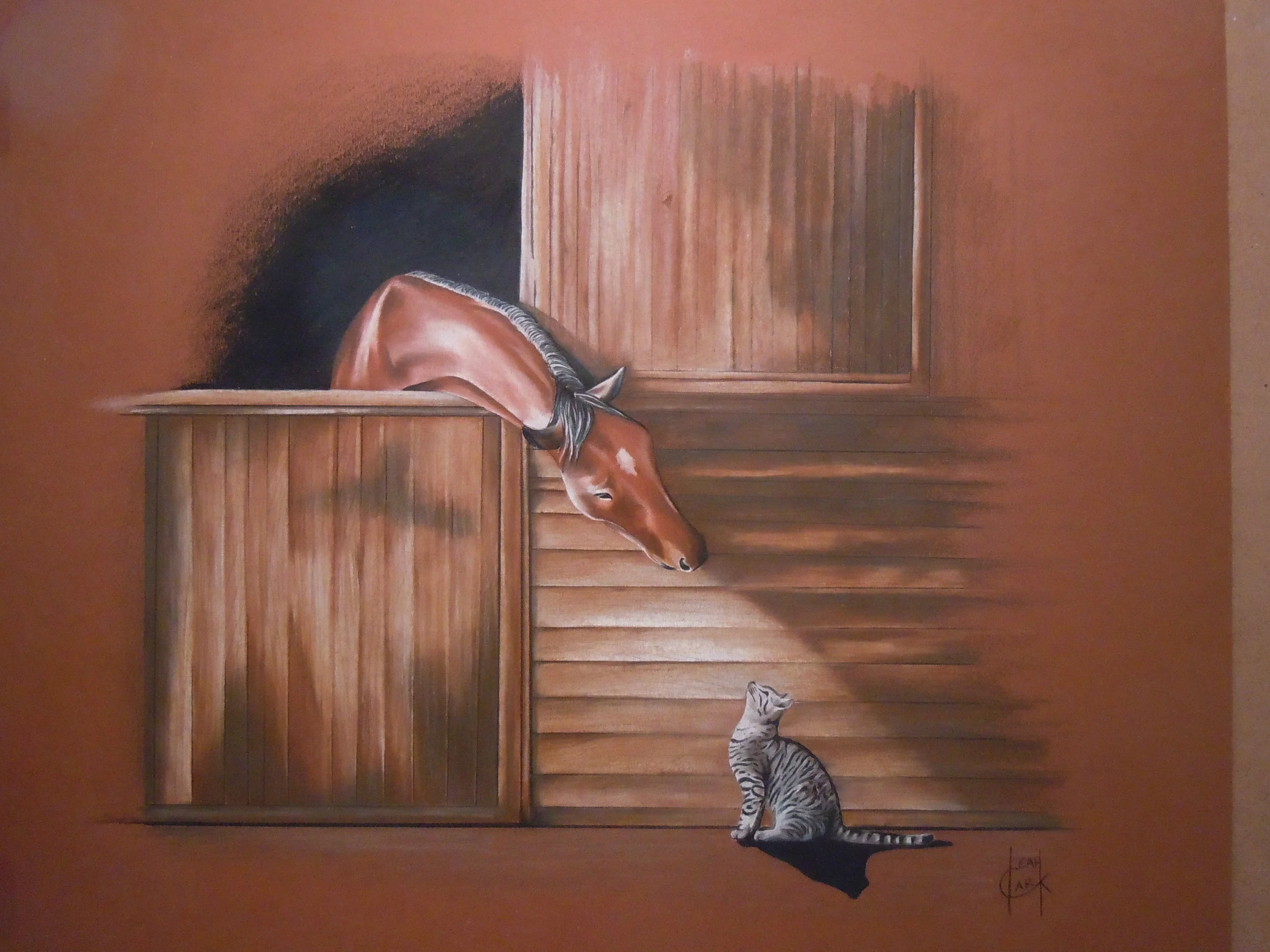 Curiosity