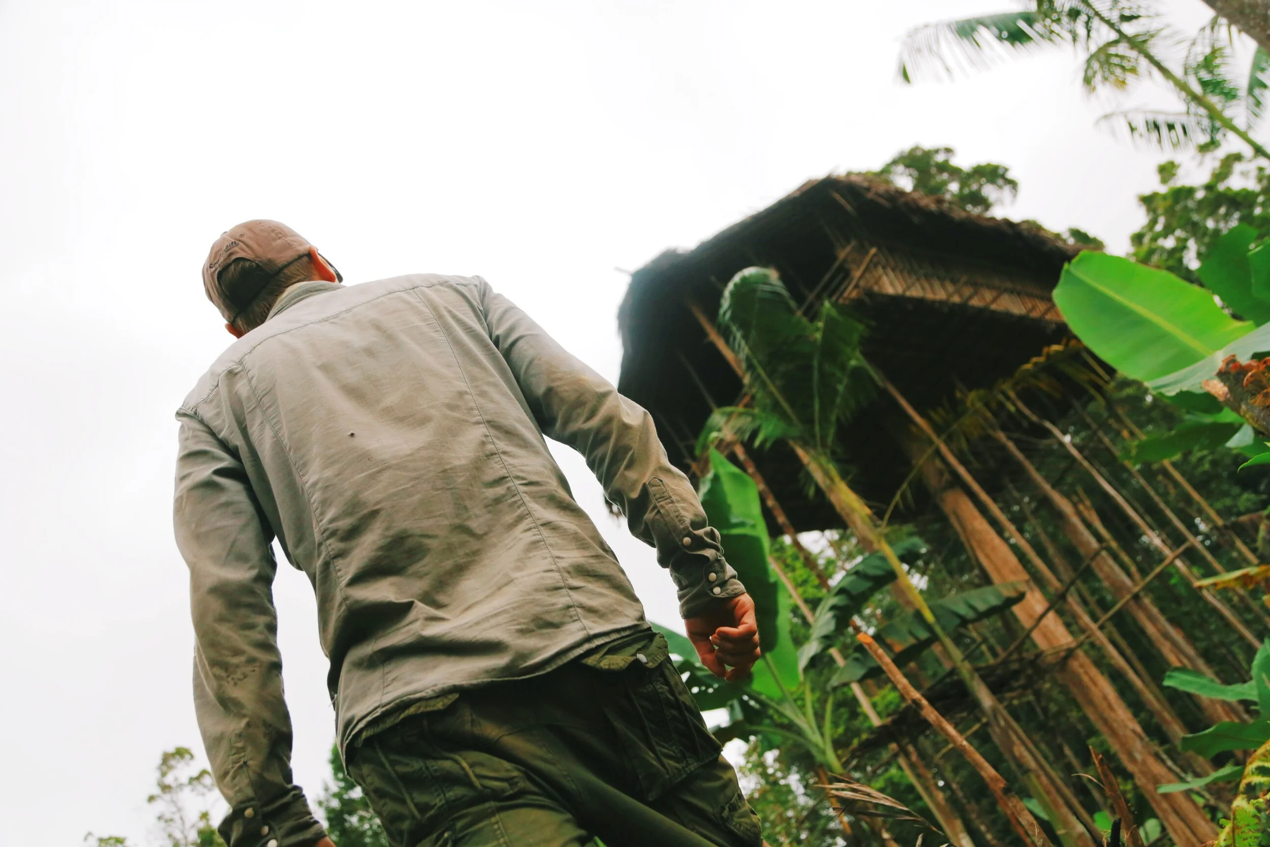 Fruit of Travel the Road