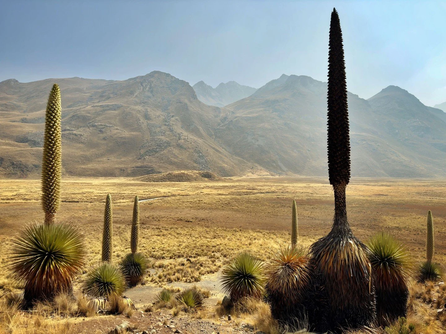 Ancash, Peru