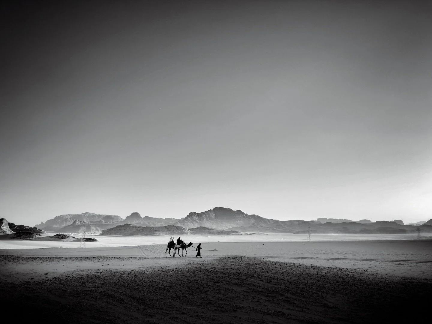 Camels at sunset &mdash; Wadi Rum, Jordan