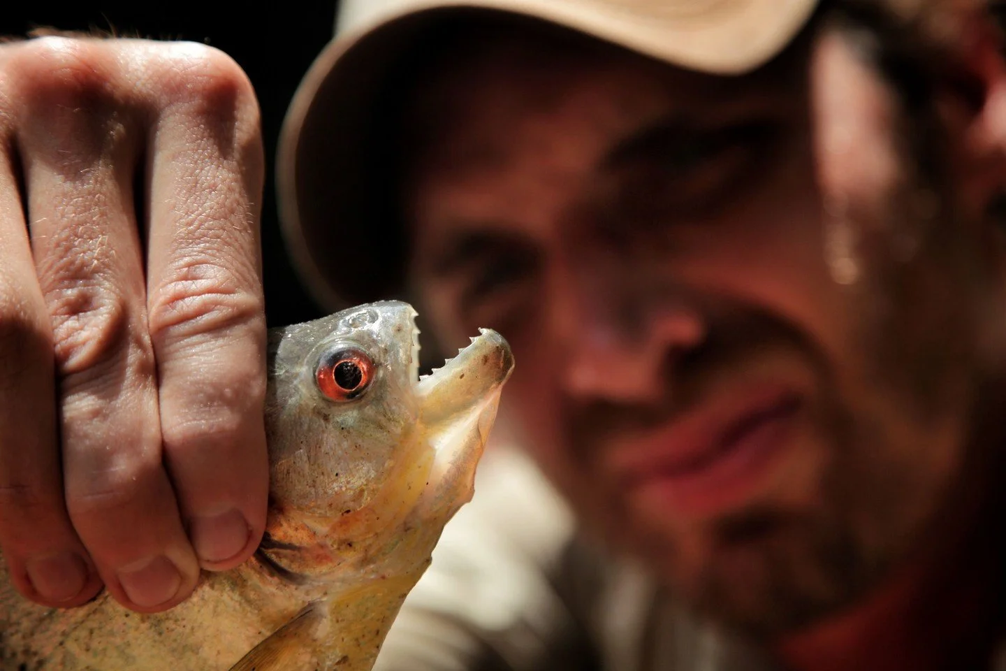 Holding a Piranha after catching it &mdash; Amazon River, Peru