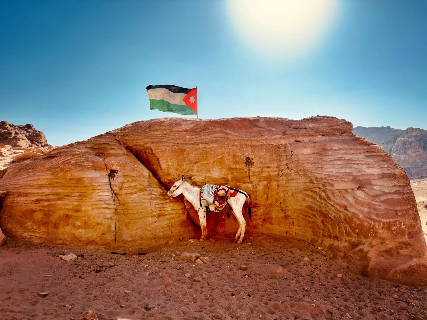 Horse in the shade &mdash; Jordan