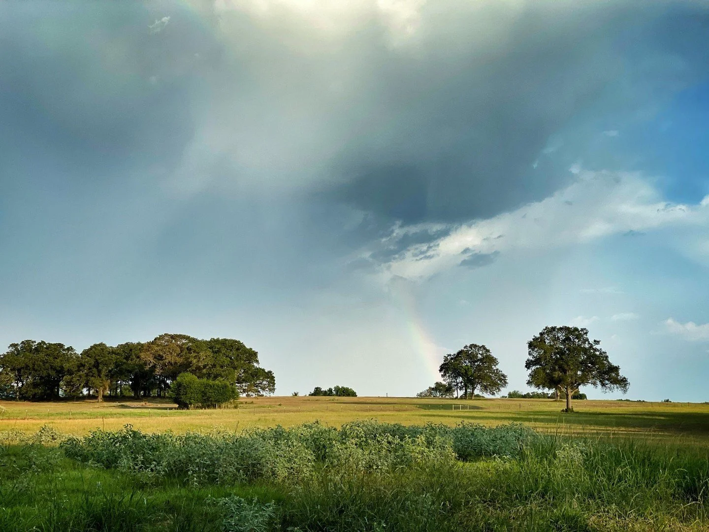 East Texas countryside &mdash; U.S.A.