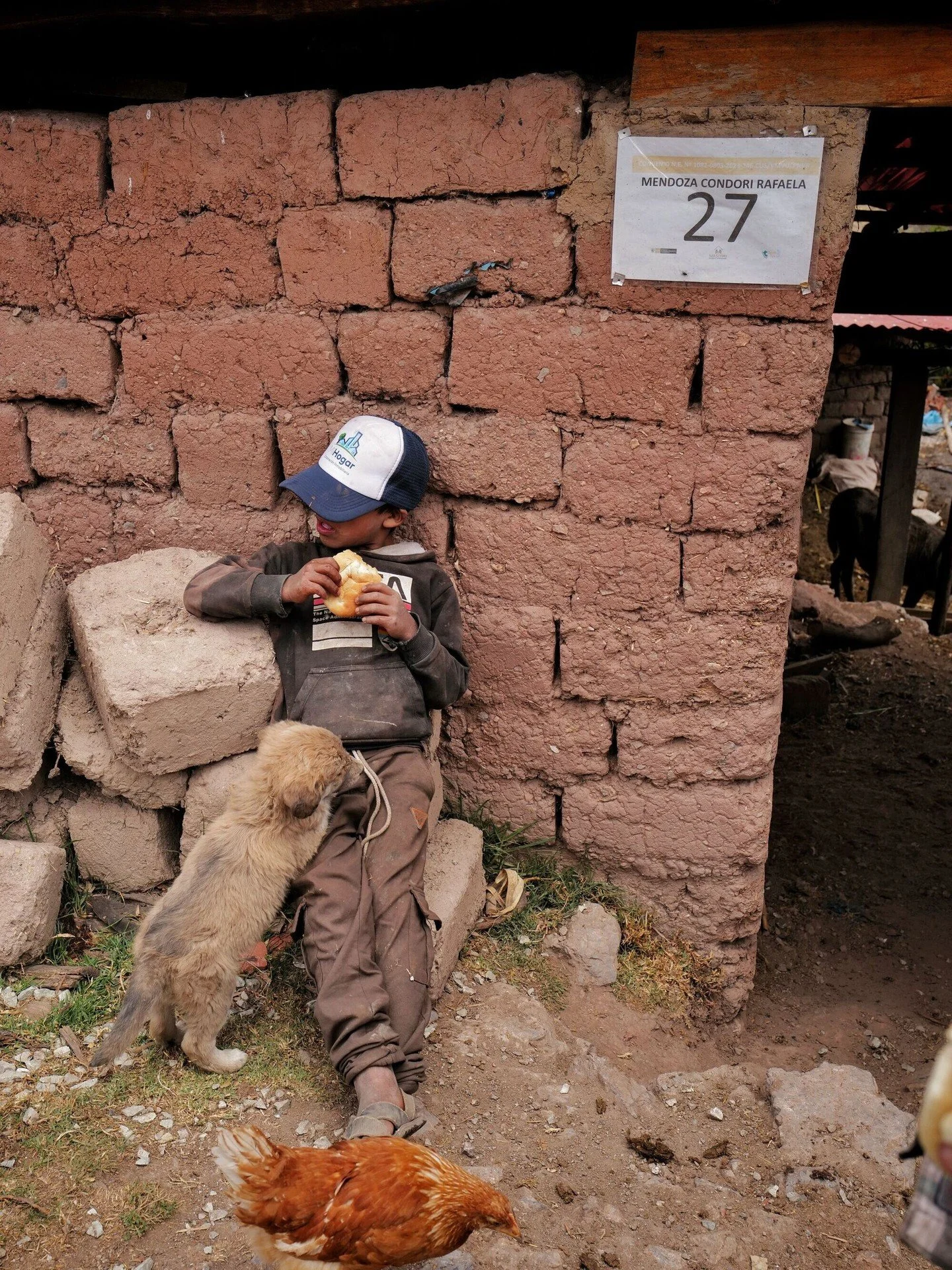 Boy and his puppy &mdash; Andes, Peru