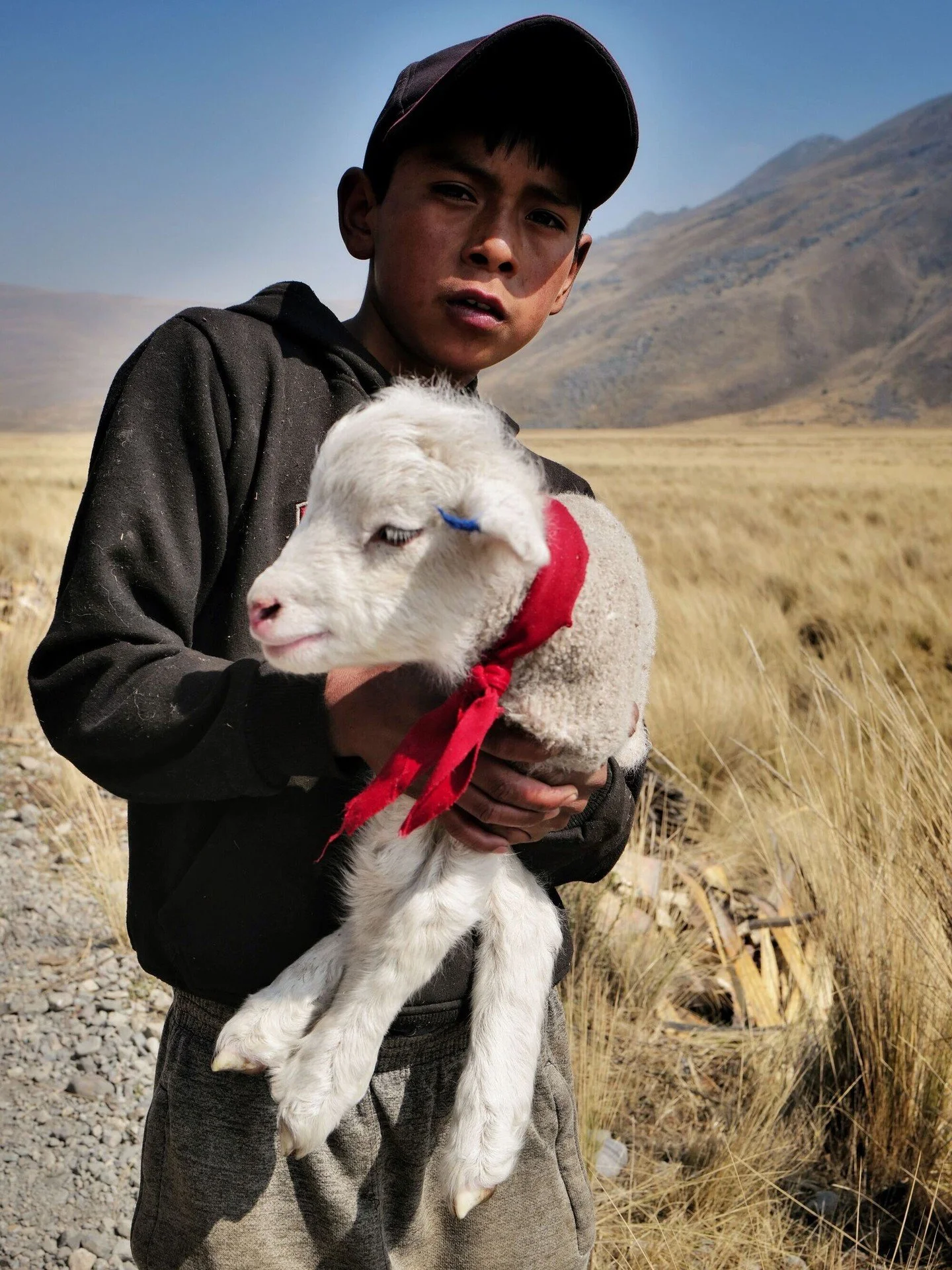 Shepherd boy in the High Andes &mdash; Ancash, Peru