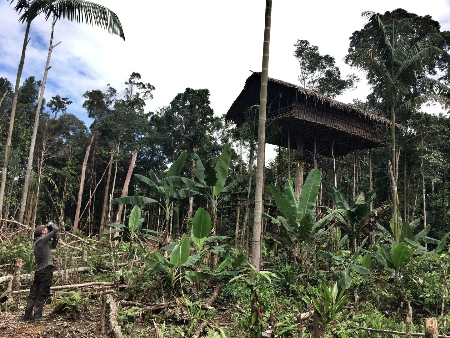 Korowai Settlement &mdash; West Papua