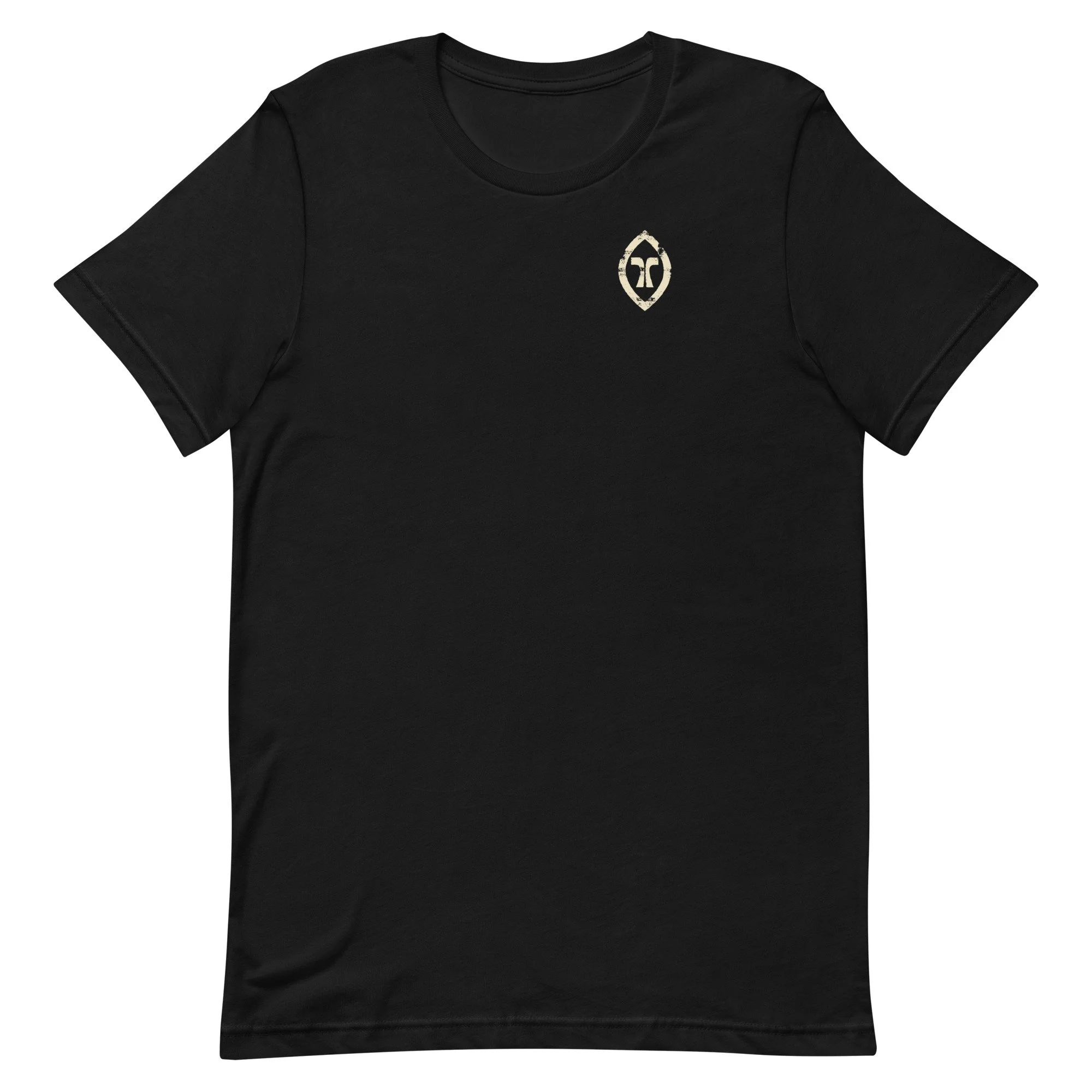 unisex-staple-t-shirt-black-front-6ace98ee65a5f.jpg