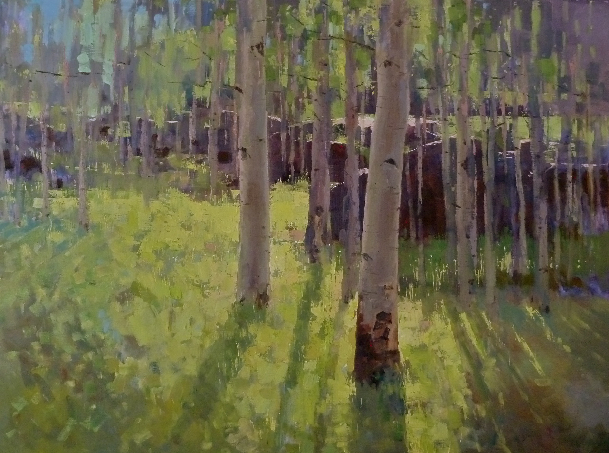  "Aspen Shadows" 36x48, $6600. 