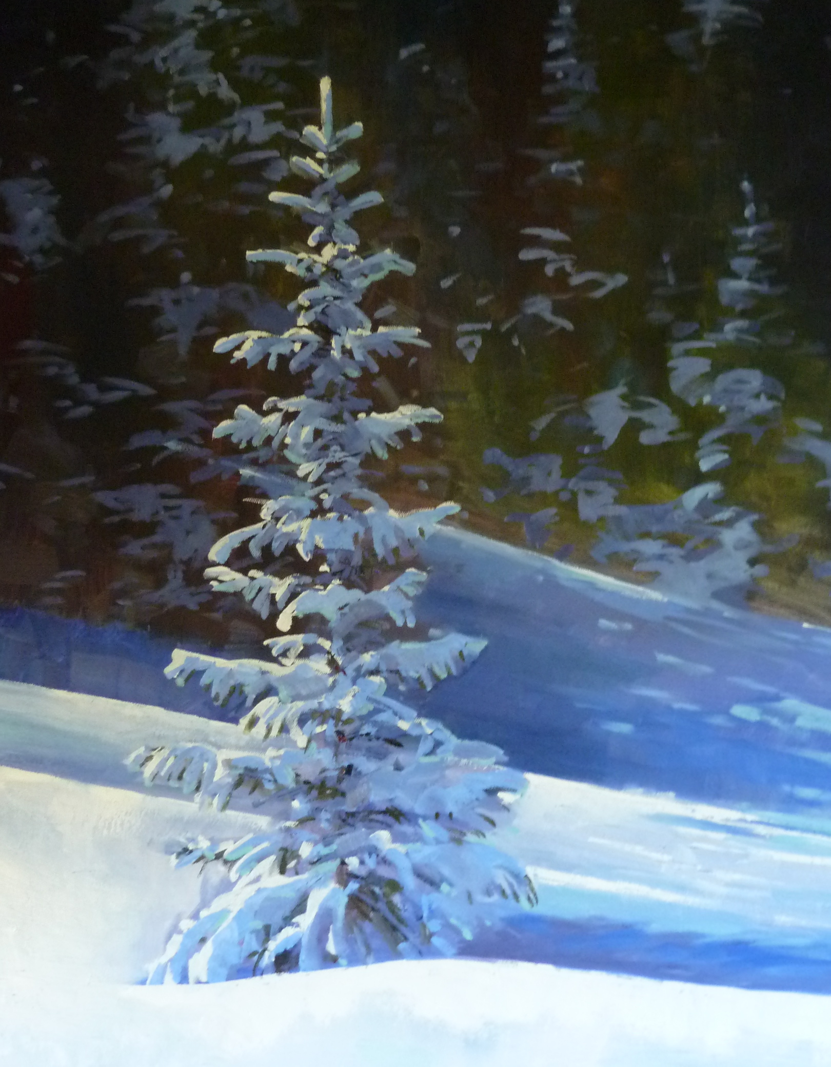  "Sparkling Fir" 24x30, $3000. 