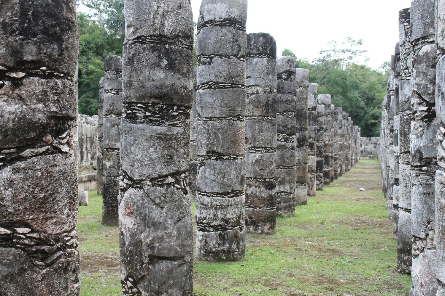 Rows of ancient stone columns in an outdoor archaeological site with greenery in the background.
