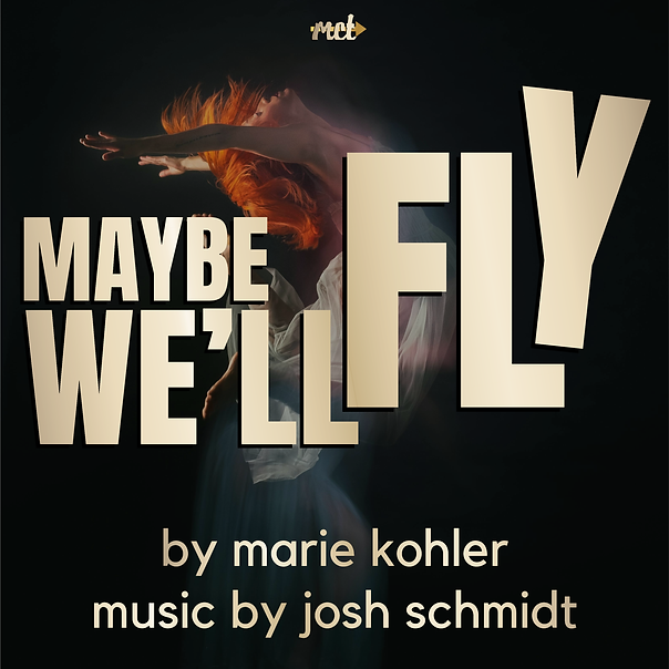 ‘Maybe We’ll Fly’ at Milwaukee Chamber Theatre