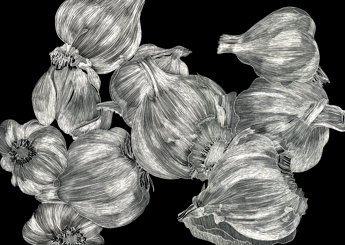 Group of Garlic