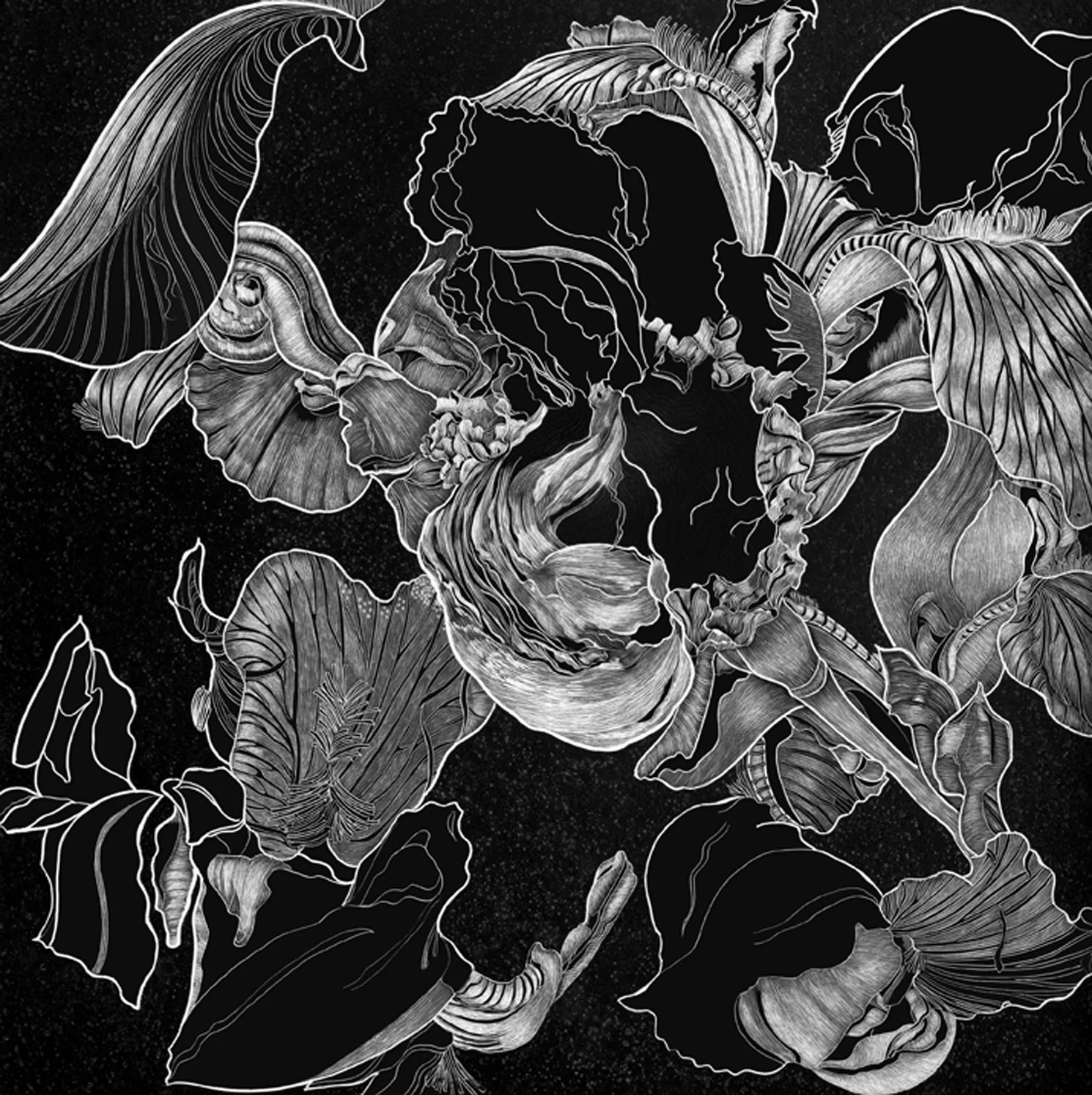 Inside of an Iris by Lisa Goesling-Copyright