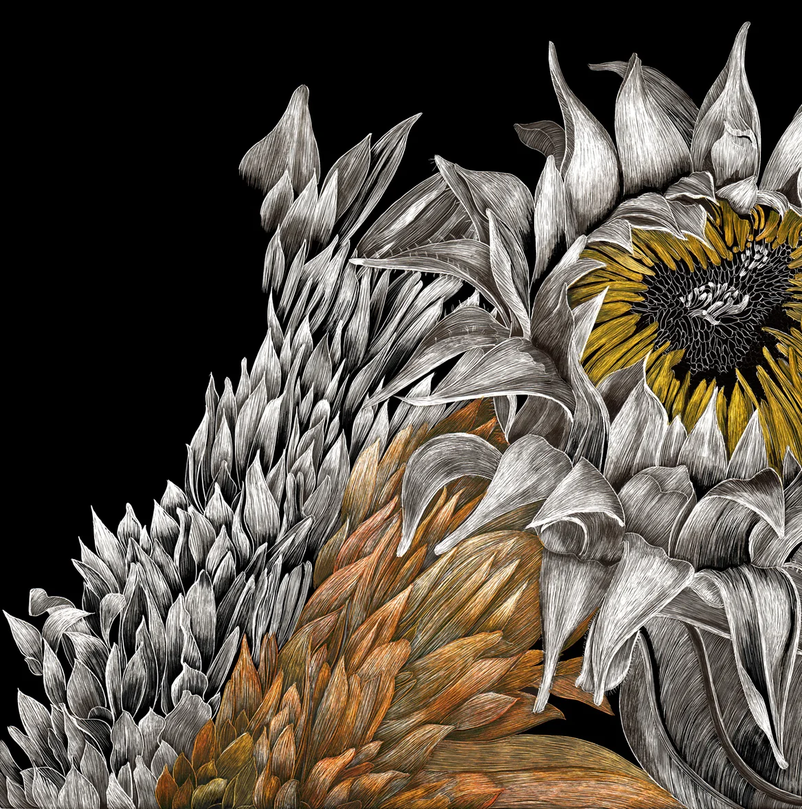 AlmostthereSunflower150.jpg