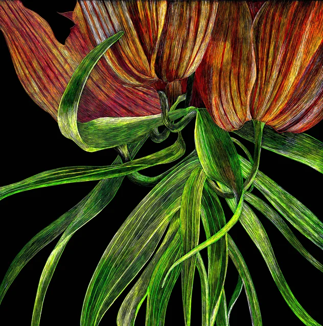 Orange Tulips Cropped