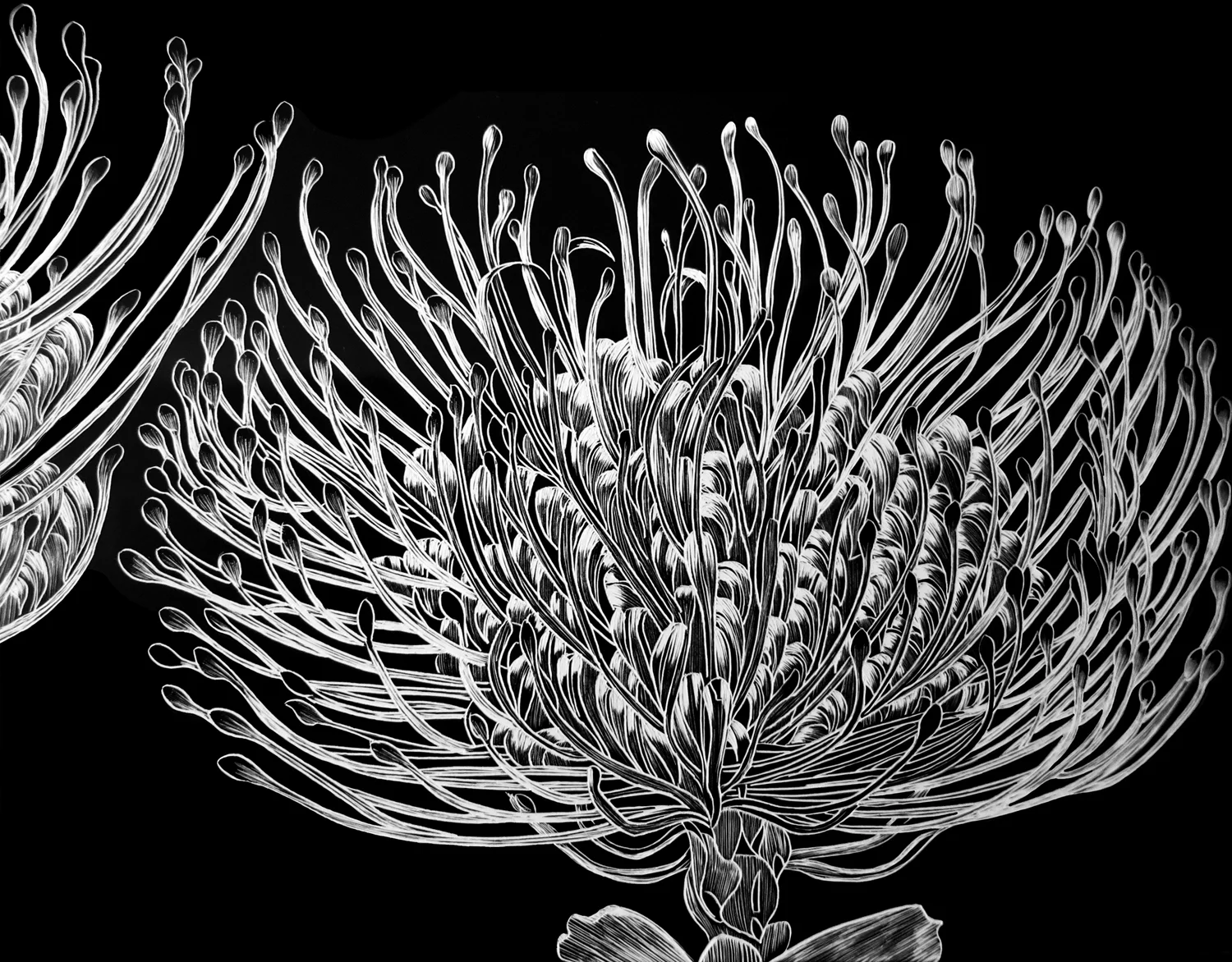 Firework Flower