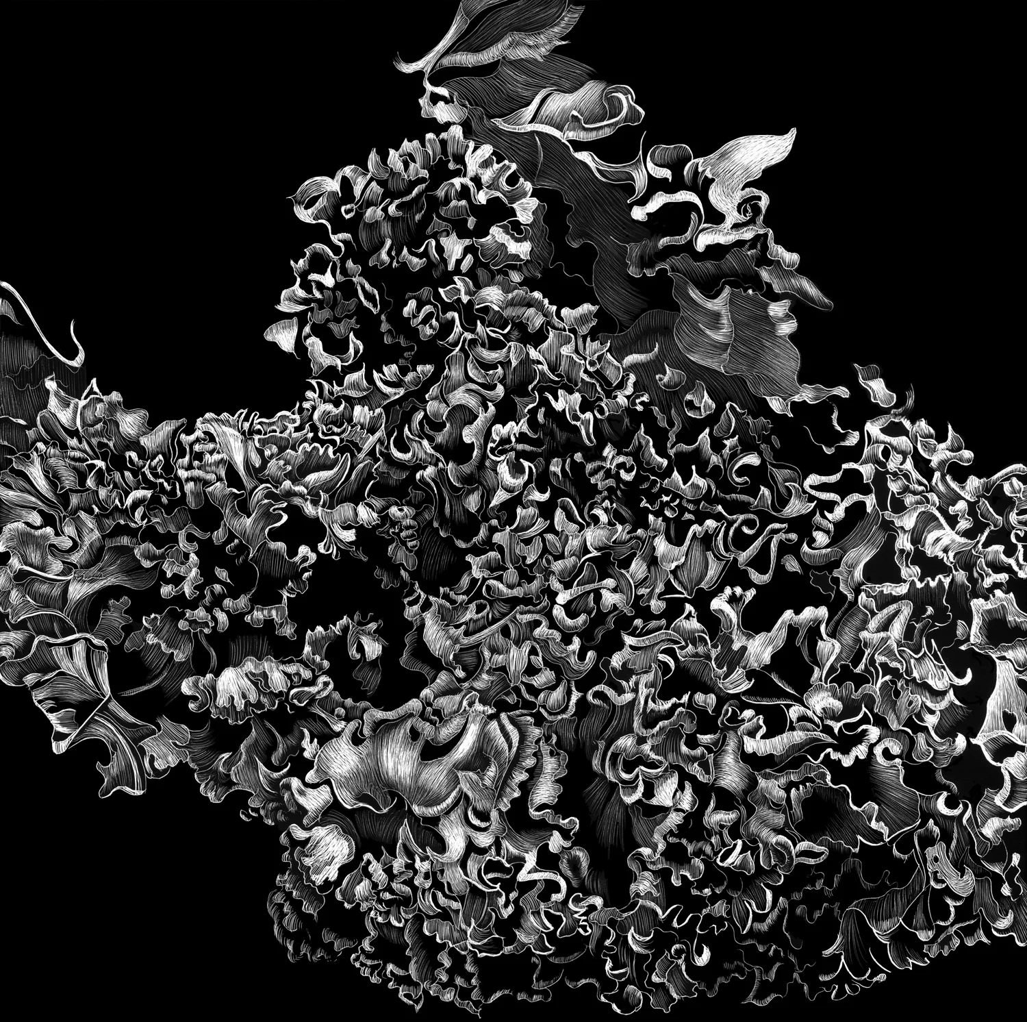 Stage 2 of Kale by Lisa Goesling