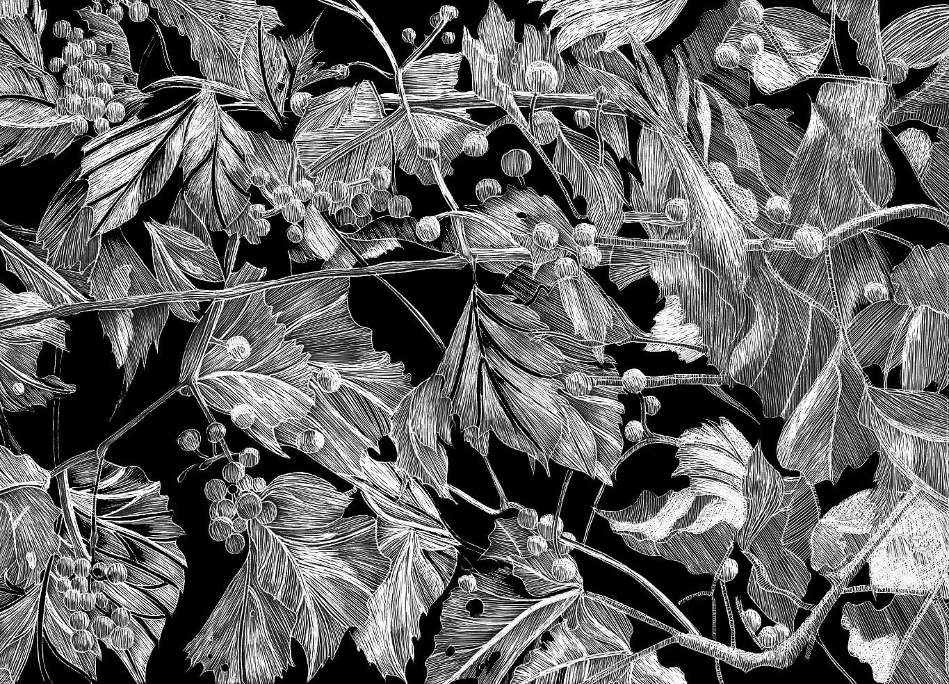 Grape vines.jpg