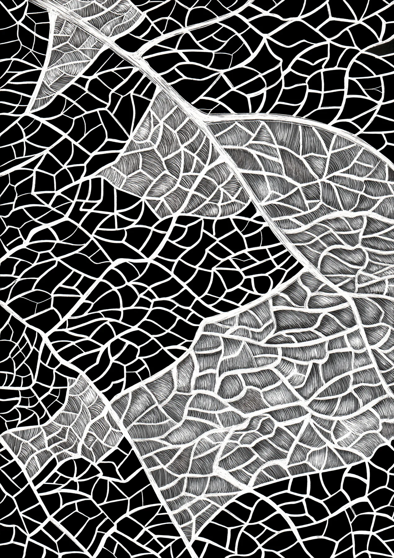 Detail of a Grape Leaf by Lisa Goesling