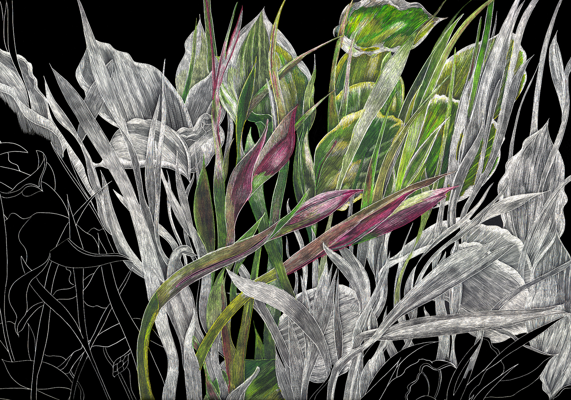 Evolution of an Iris by Lisa Goesling