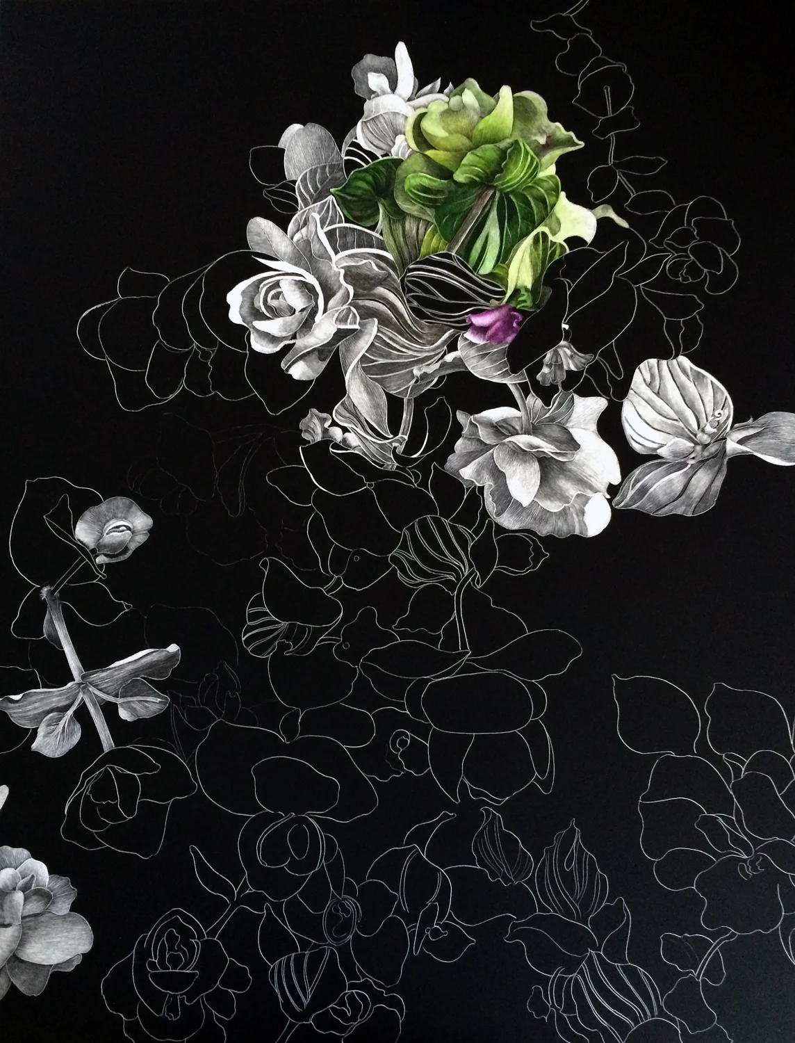 Oregano by Lisa Goesling