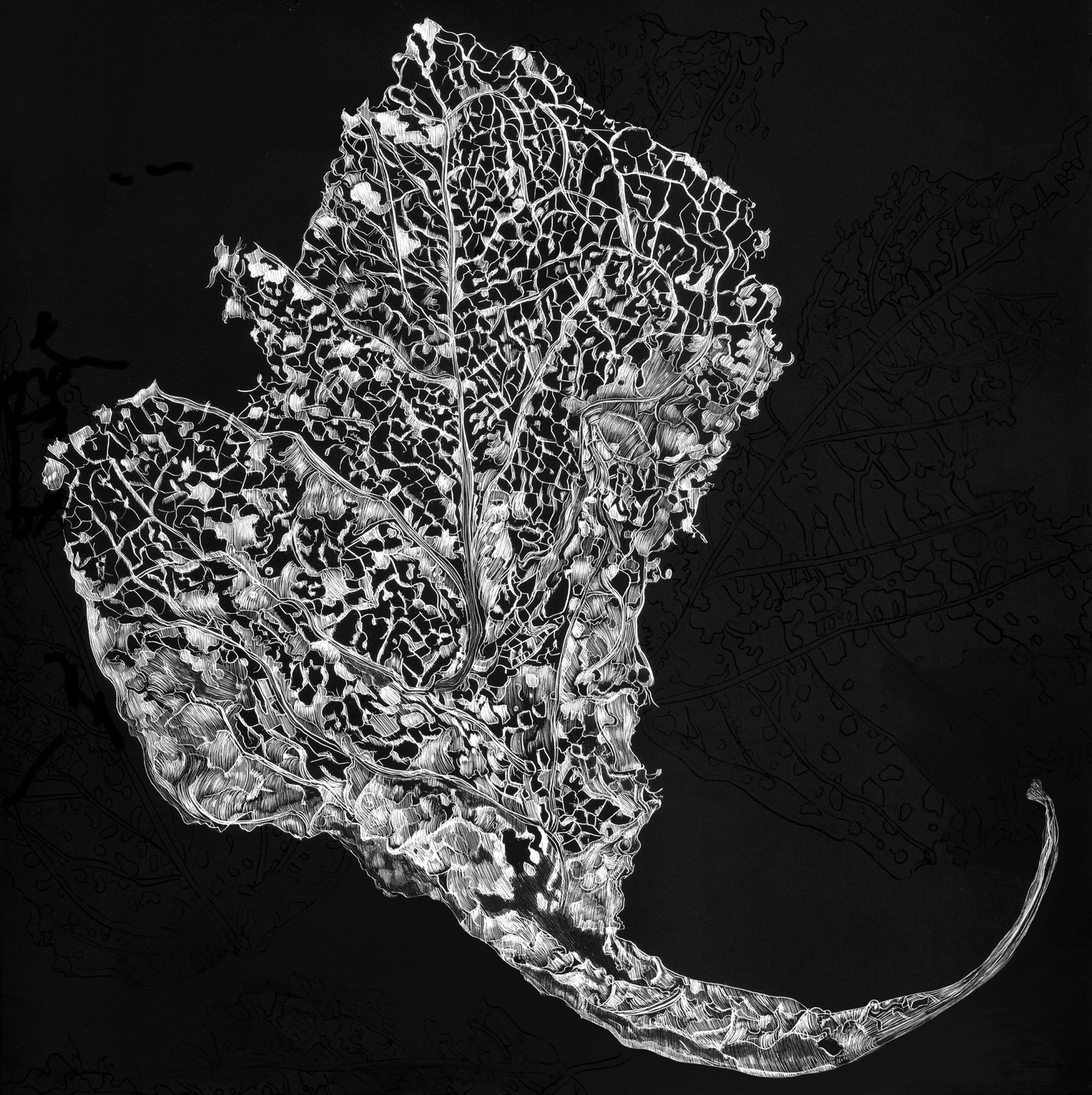 JS Lacy Leaf