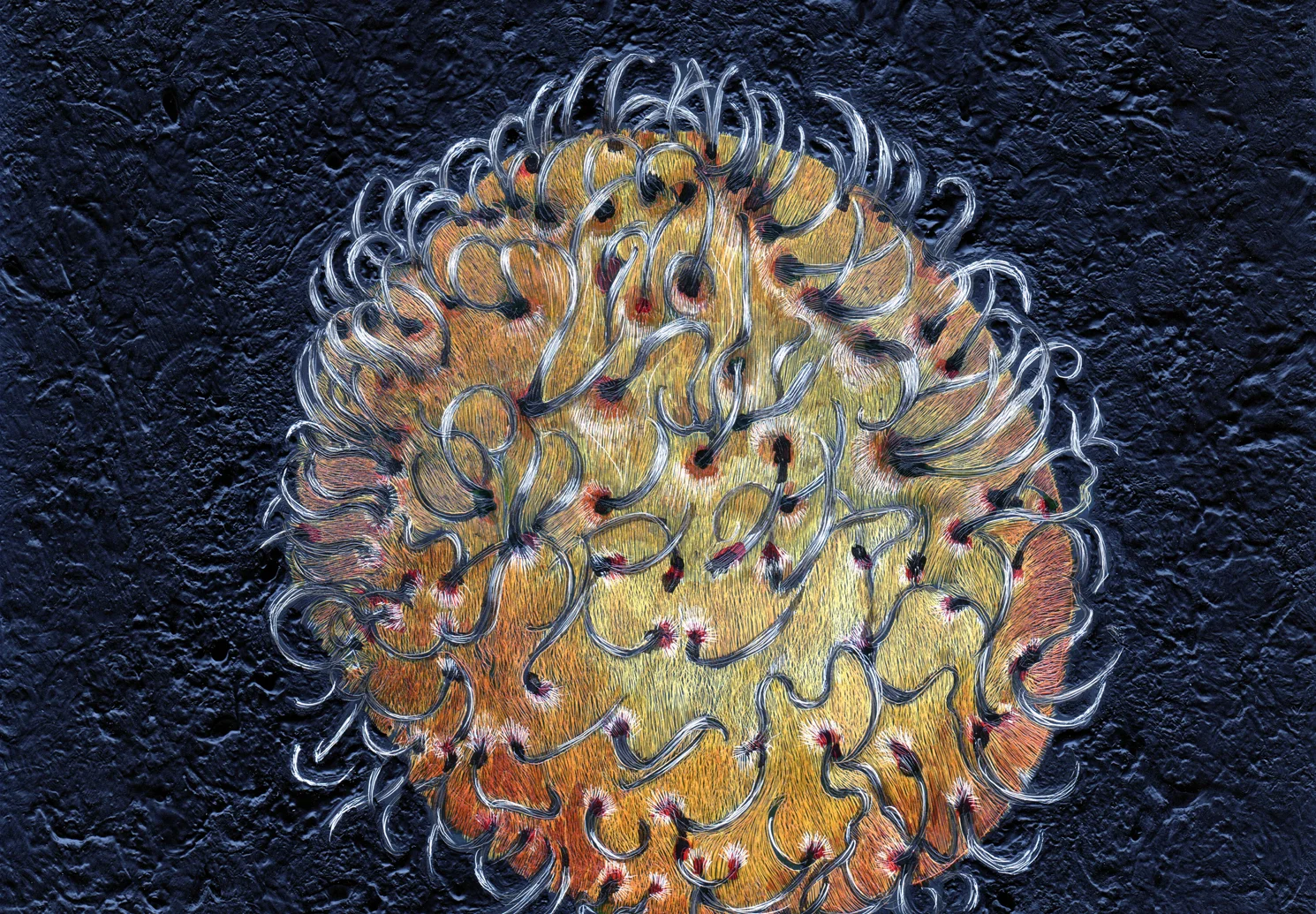 Close to the Sun 2/Rambutan by Lisa Goesling