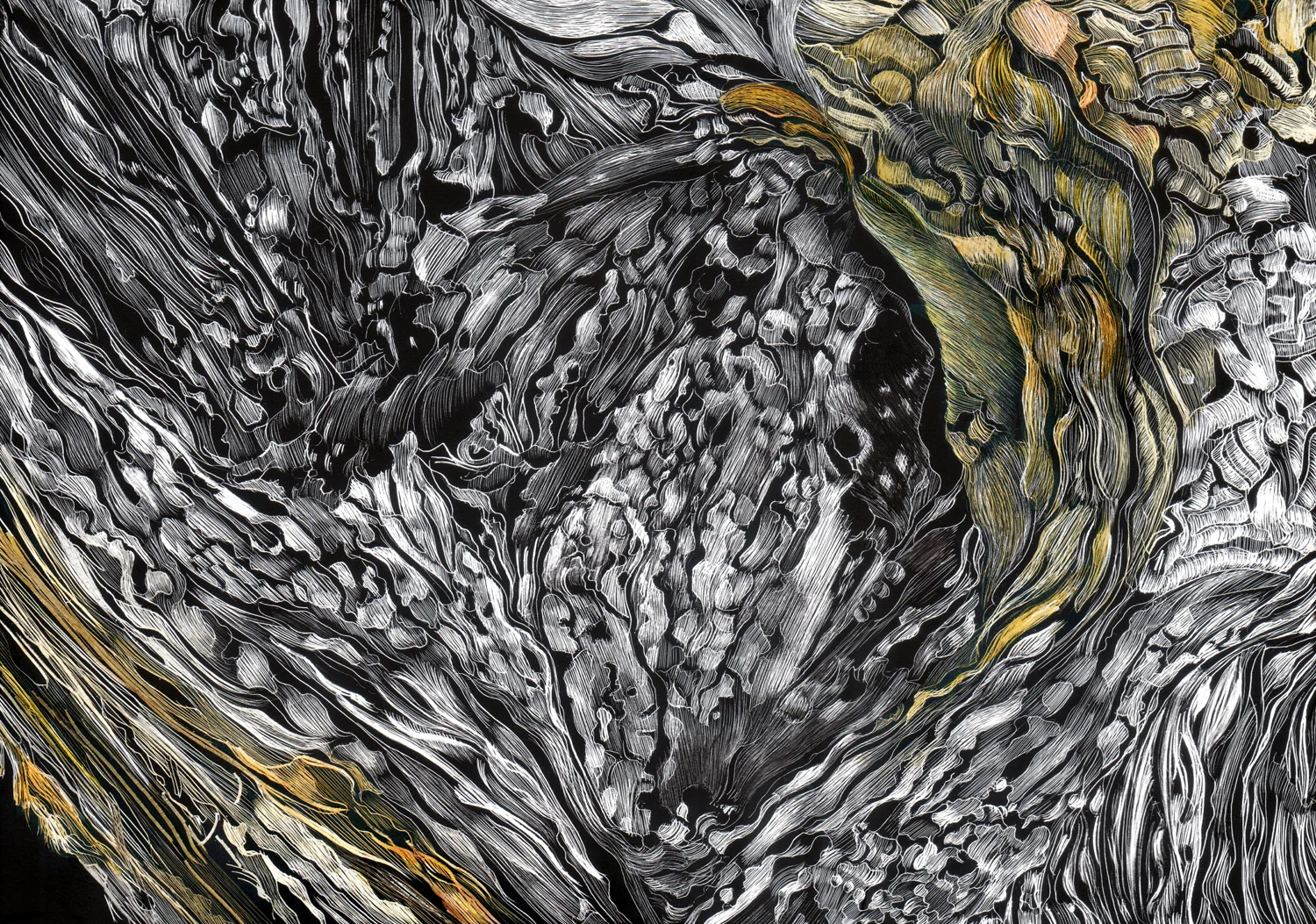 Bark by Lisa Goesling