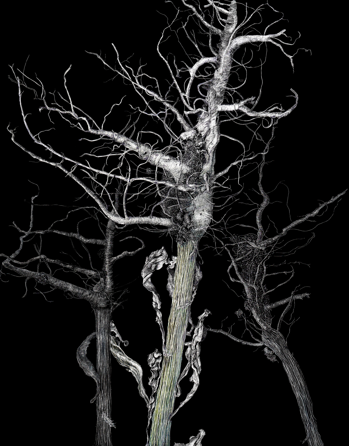 Uprooted 1