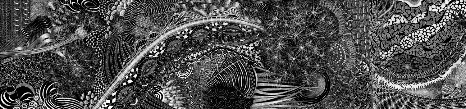 NSFC SPONTANEOUS COMBUSTION #3121 Black Scratchboard Framed: 24" x 8" 2016 $1000.00 Donated to No Stomach For Cancer Fundraiser