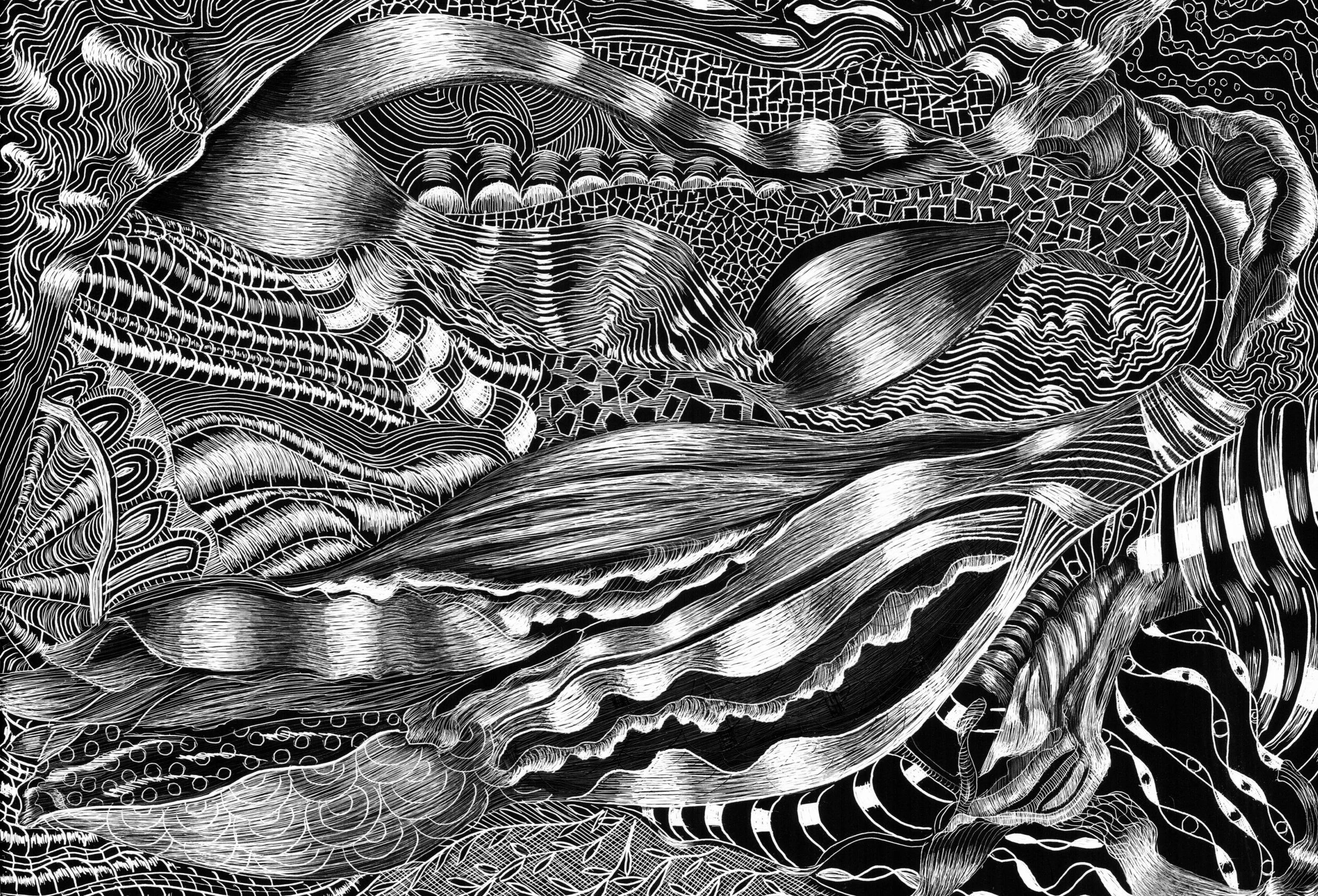SC 6 #3113 Black Scratchboard Mounted with Sawtooth Hanger: 7" x 5" 2016 $500.00 Studio