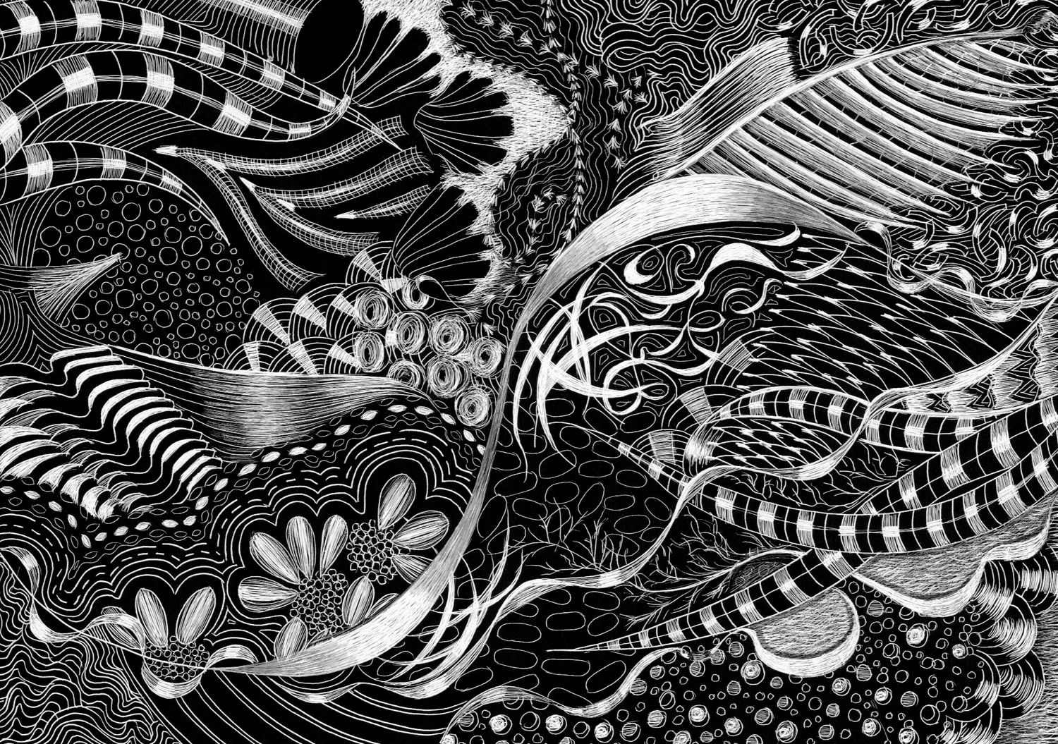 SC 19 #3130 Black Scratchboard Mounted with Sawtooth Hanger: 7" x 5" 2016 $500.00 Studio