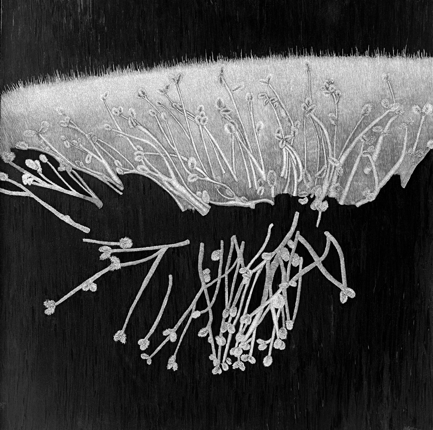 Catkin Study by Lisa Goesling 23 3/4" x 23 3/4" 2013