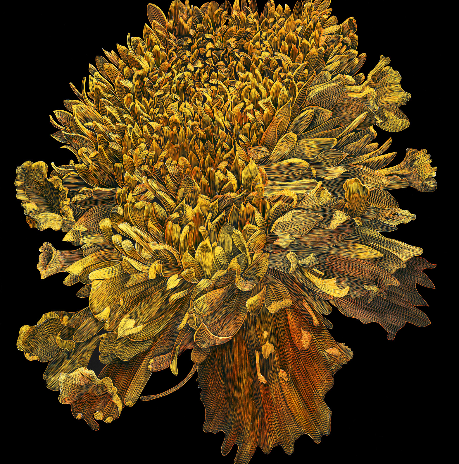 Marigold by Lisa Goesling 8" x 8" 2012