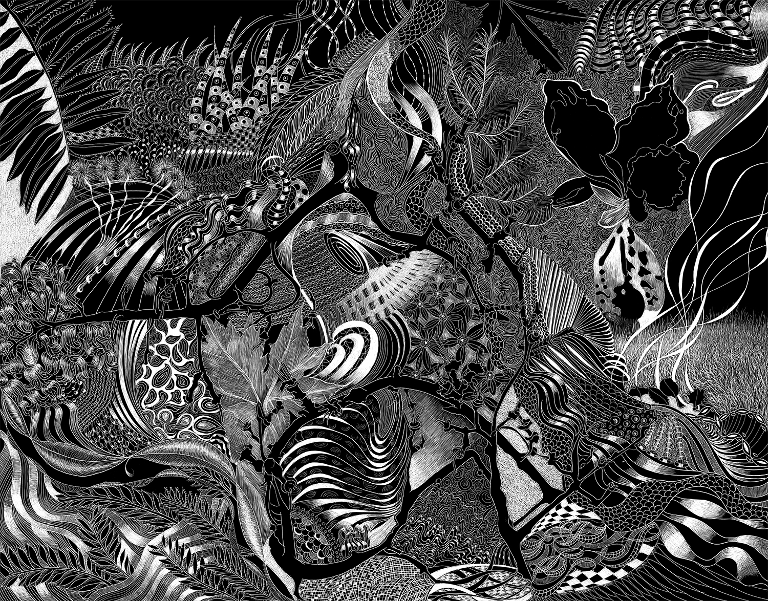 SC 38 #3136 Black Scratchboard Mounted with Sawtooth Hanger: 11" x 14" 2017 $1500.00 Water Street Studios