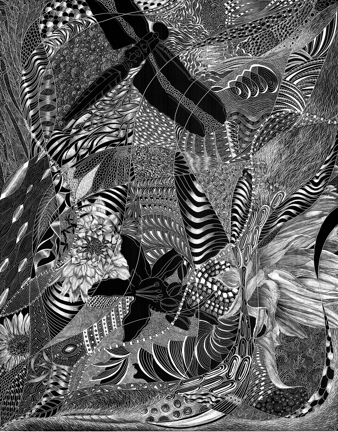 SC 39 #3137 Black Scratchboard Mounted with Sawtooth Hanger: 14" x 11" 2017 $1500.00 Sold