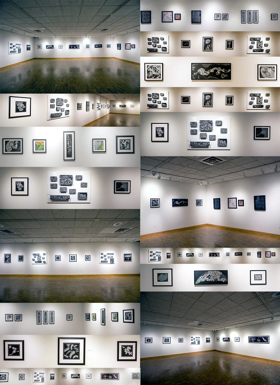 Compilation of Photographs by Shirley Nannini of Storylines Exhibition by Lisa Goesling