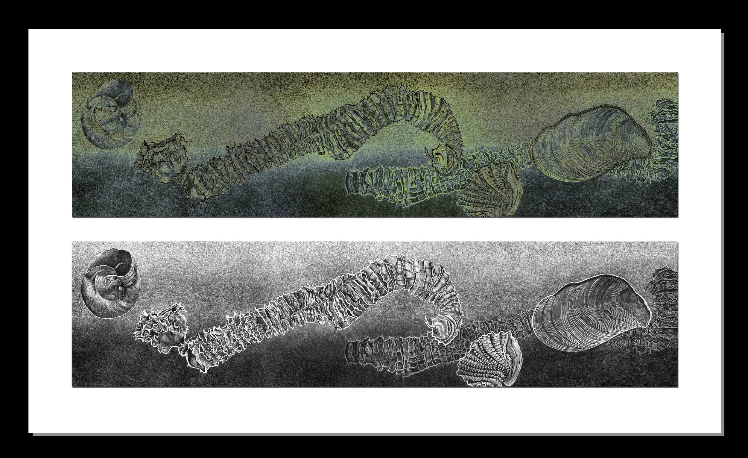 The Nature of Design - Movement. 1 of 1 Digitally Colored Print and Original Art. by Lisa Goesling. Part of Inspired Response. 