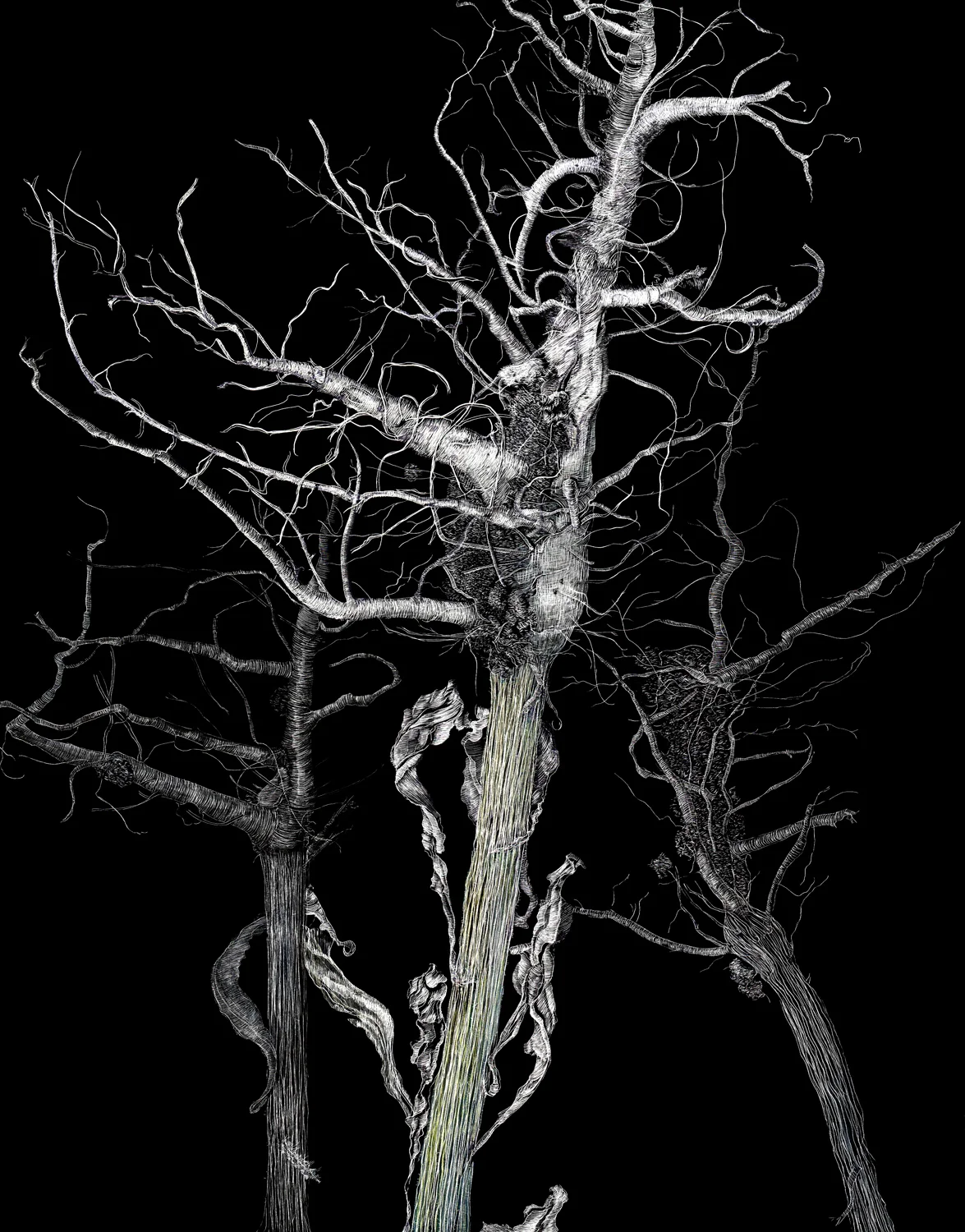 Uprooted 1 by Lisa Goesling