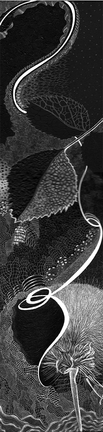 SC 3185 Black Scratchboard Framed: 5" x 21" 2019 $1650.00 Studio