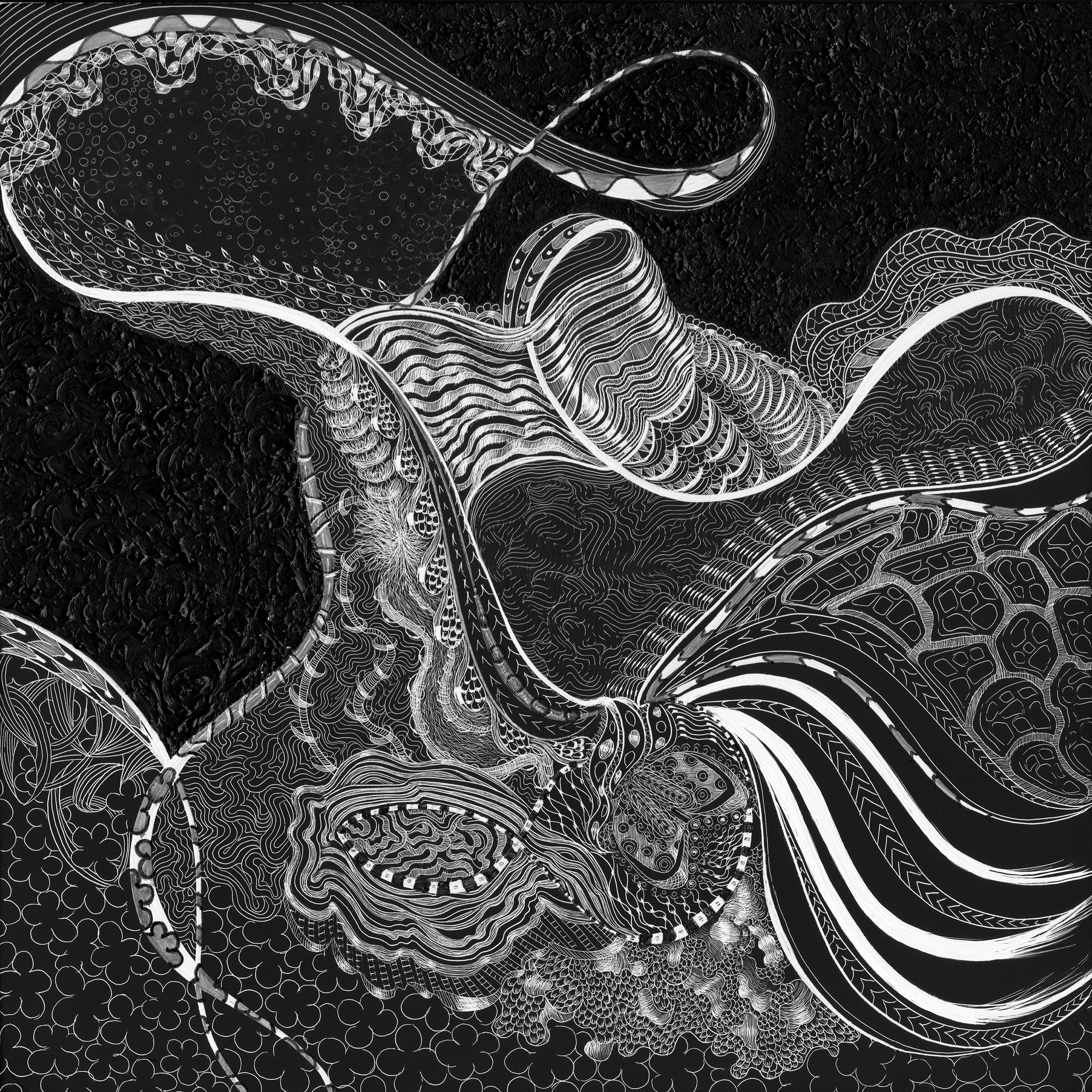 SC 8x8.5 Black Scratchboard, Acrylic Paint, Ink, 8" x 8" 2019 $925 Sold