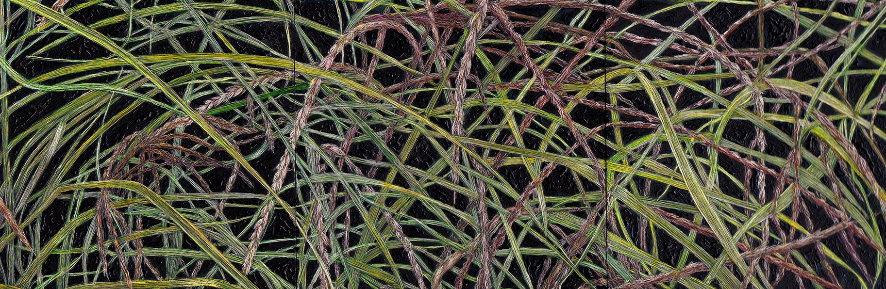 UNDER EARTH'S CANOPY: GRASSES DETAIL